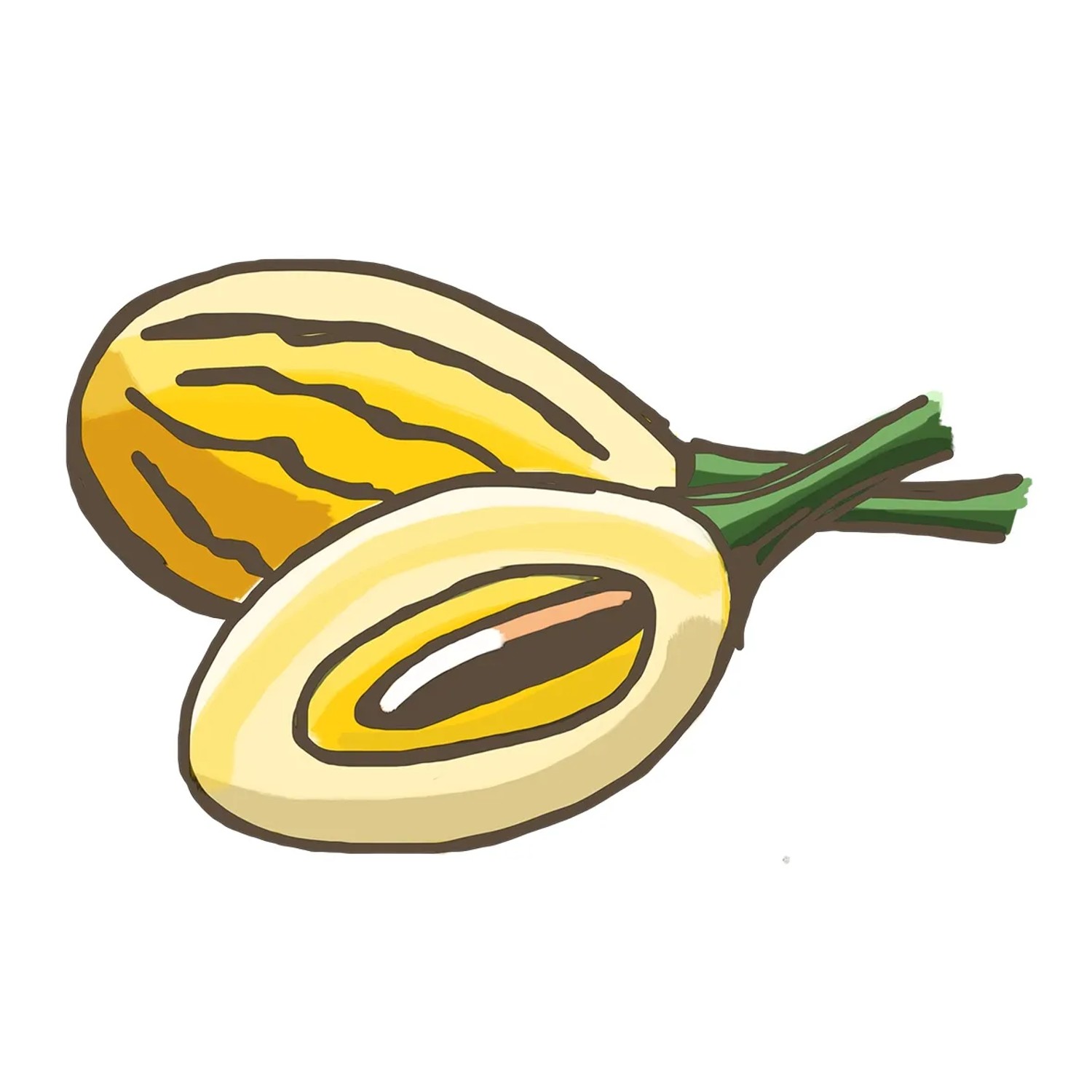 Illustration: Gelbe Melonenbirne (Pepino Gold), eine halbiert. Süßes Fruchtgemüse für Topf & Balkon.