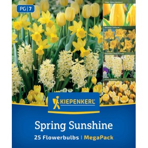 Kiepenkerl Blumenzwiebeln 'Spring Sunshine': Gelbe Tulpen, Narzissen, Krokusse und Hyazinthen.