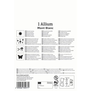 Kiepenkerl Zierlauch Mont Blanc, Blumenzwiebel für große, weiße Blüten im Frühjahr.