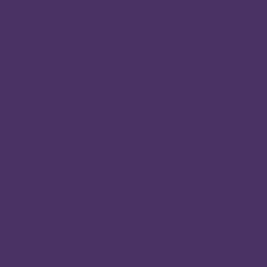 Matte, violette OBI Color Voll- und Abtönfarbe, 500 ml.
