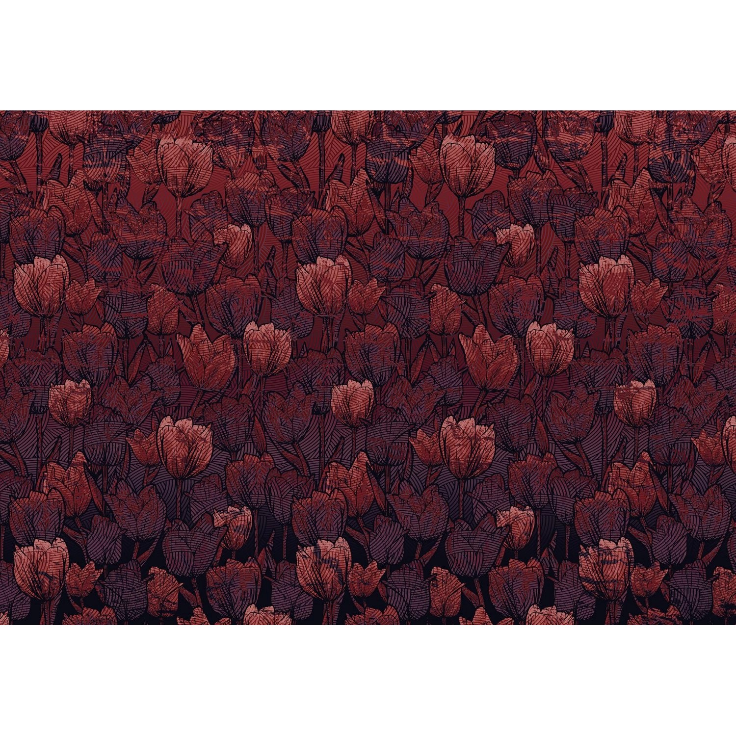 Sanders & Sanders Fototapete Tulpen Rot 400 x 280 cm 611861