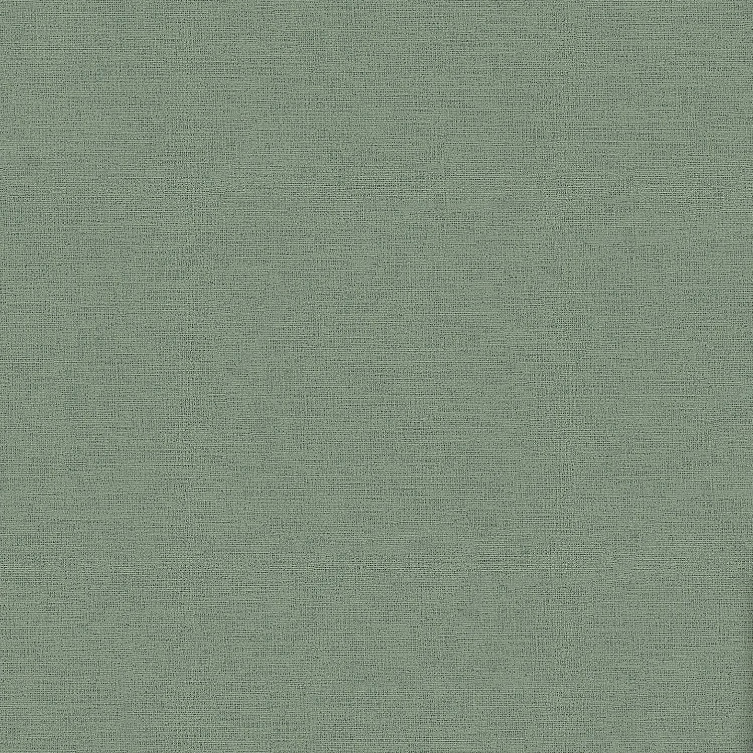 AS-Creation Vliestapete Uni Vorgeleimt 10,05 m x 0,53 m Dunkelgrün FSC® günstig online kaufen