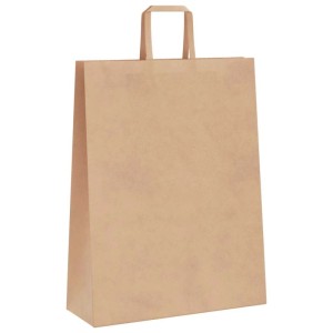 vidaXL Papiertragetaschen 50 Stk mit Henkeln Braun 32x12x42 cm 4101802