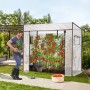 Transparentes Tomatengewächshaus im Garten mit reifen Tomaten. Foliengewächshaus mit Rolltür und Seitenfenstern.
