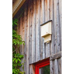 Neudorff Fledermausquartier aus Holz an einer Holzwand mit rotem Fensterrahmen.