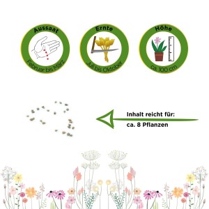 Johannisbeertomaten Samen: Infos zu Aussaat, Ernte und Pflanzenhöhe. Inhalt reicht für ca. 8 Pflanzen.