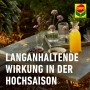 Szene mit Compo Produkten im Garten, Text "Langanhaltende Wirkung in der Hochsaison".