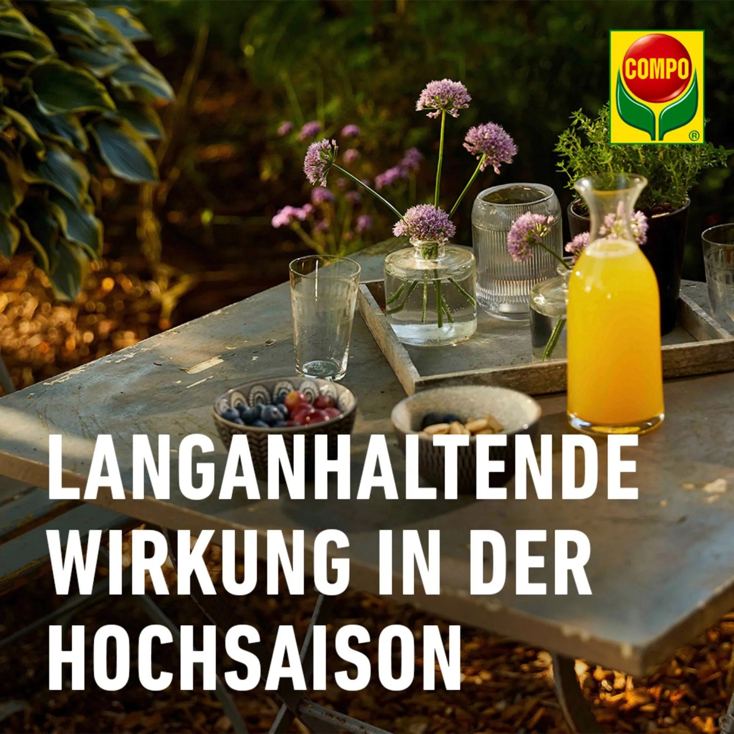 Szene mit Compo Produkten im Garten, Text "Langanhaltende Wirkung in der Hochsaison".