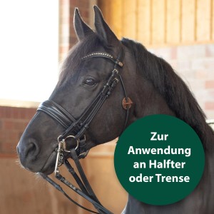 Pferd mit Trense, Equisept Fliegen- und Bremsenmedaillon am Halfter zur Insektenabwehr.