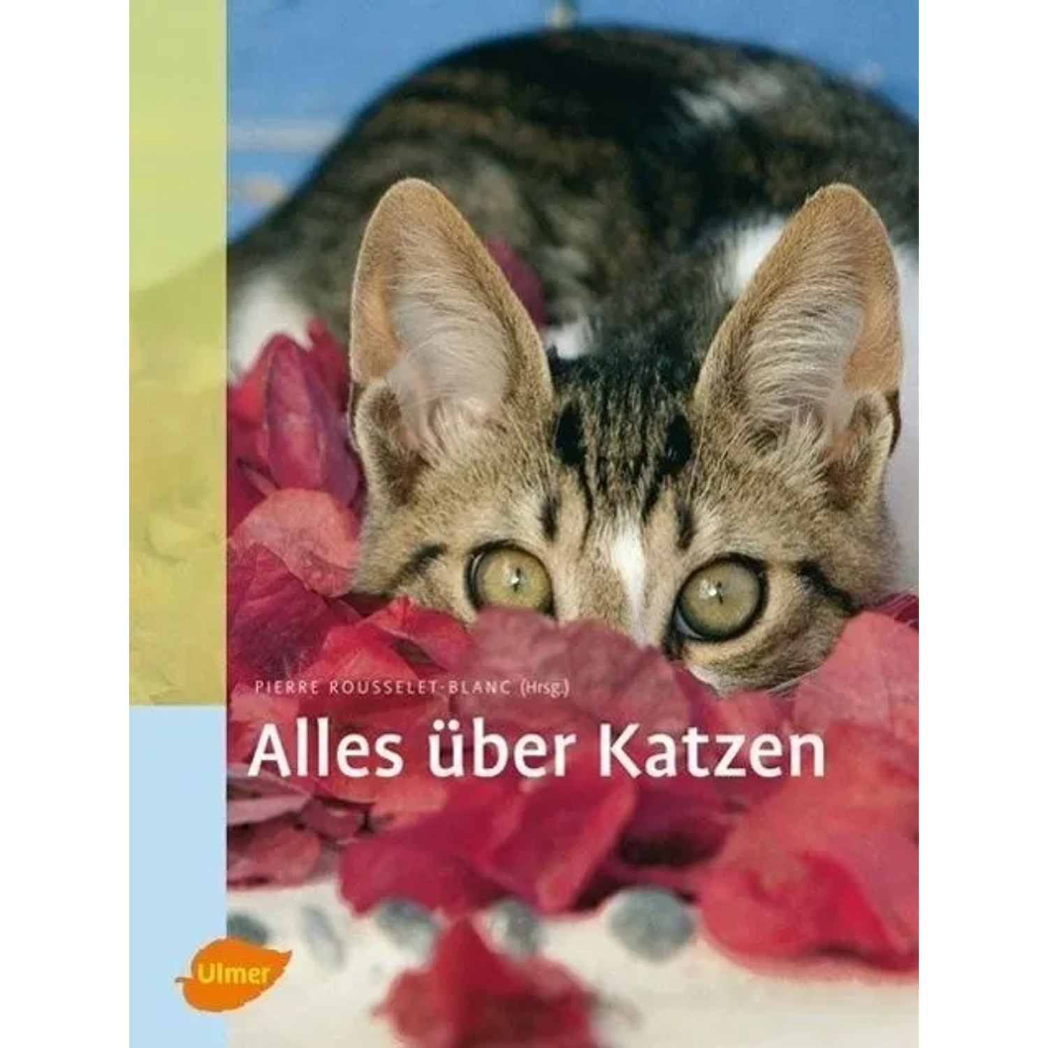 Alles über Katzen