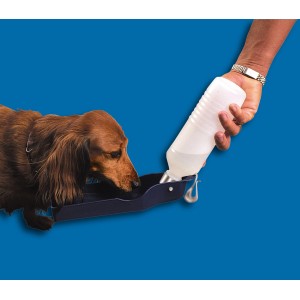 Hund trinkt aus Jollypaw Trinkflasche mit Napf, ideal für unterwegs. Kunststoff, 500ml.