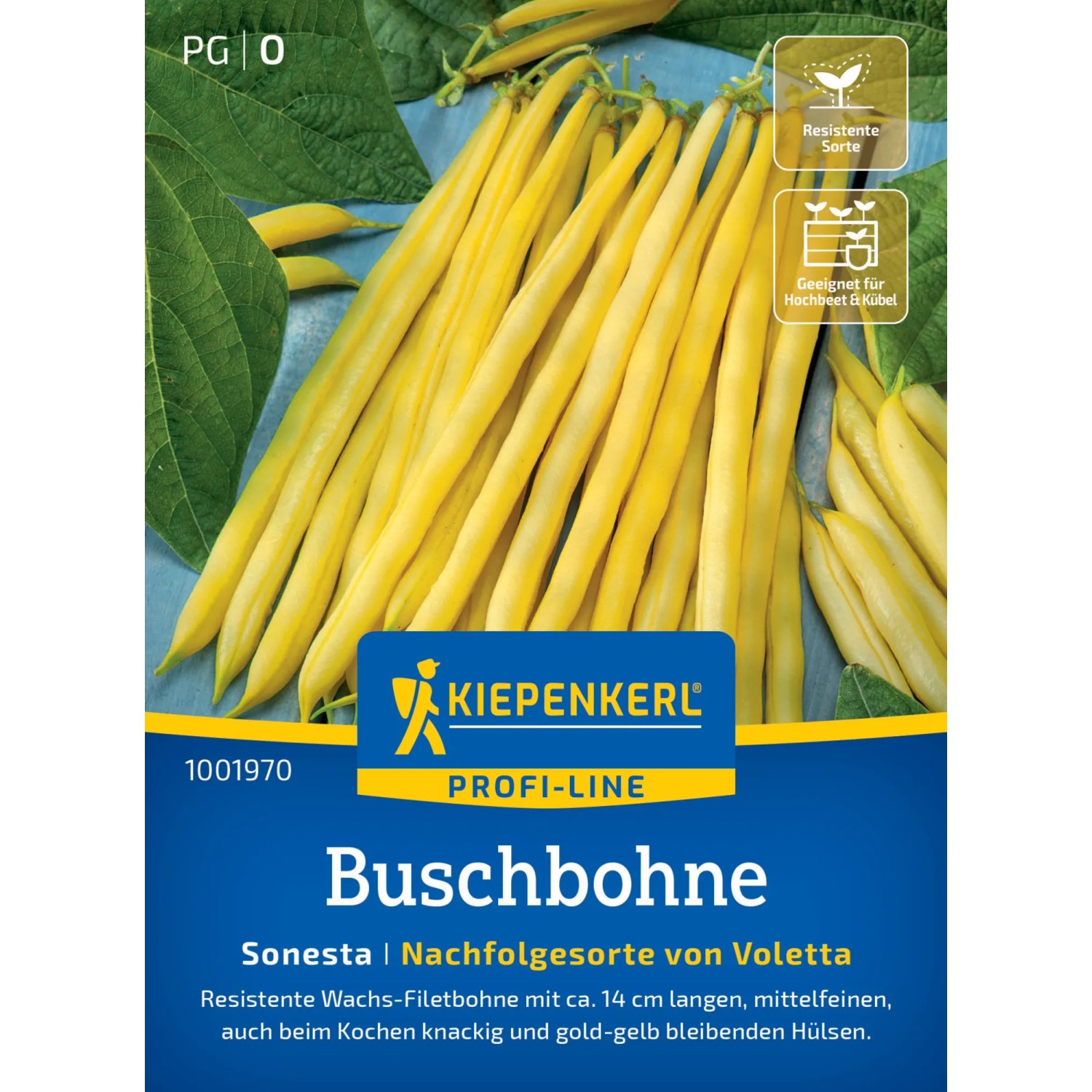Kiepenkerl Buschbohne "Sonesta"