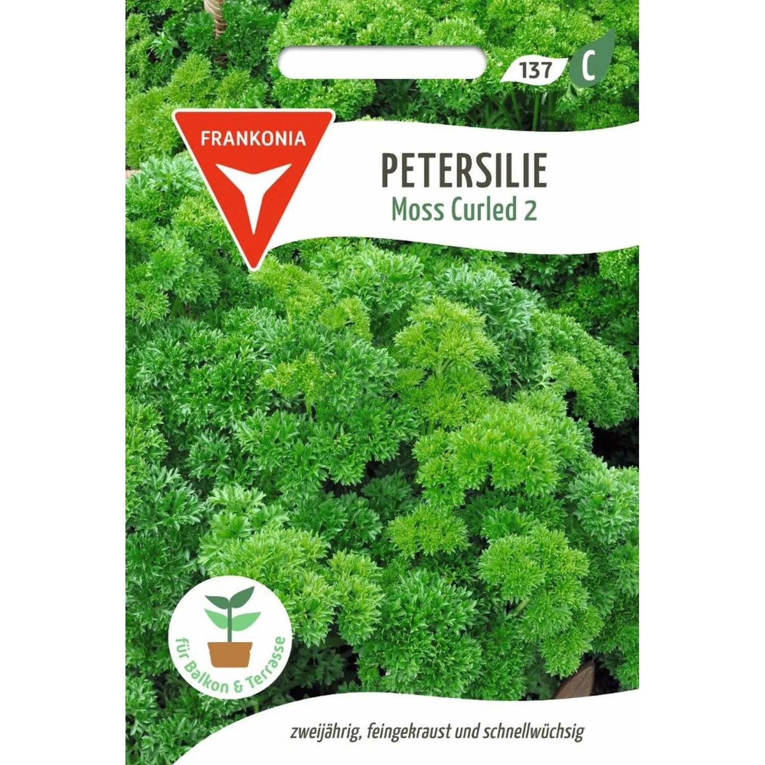 FRANKONIA Petersillie Moss Curled 2