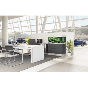 Oase Aquarium-Set HighLine Weißglas 300 Anthrazit 300 l