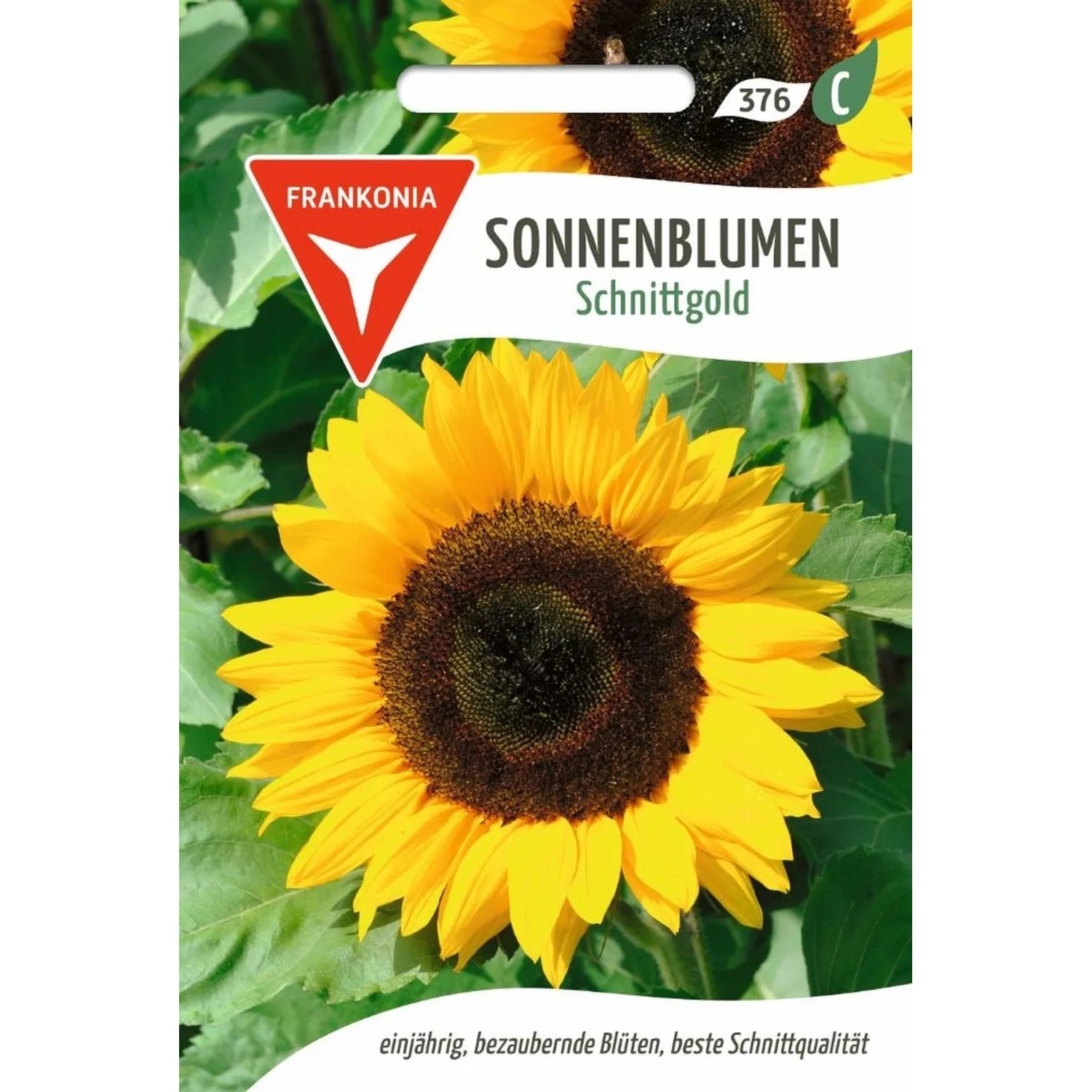 FRANKONIA Sonnenblume Schnittgold günstig online kaufen