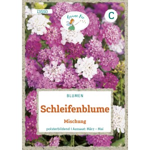 Saatgutpackung Grüne Fee Schleifenblume Mischung mit rosa, lila und weißen Blüten.