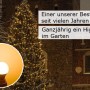 Lichterkette mit warmweißen LED-Kugeln für Garten und Außenbereich als Weihnachtsbeleuchtung.