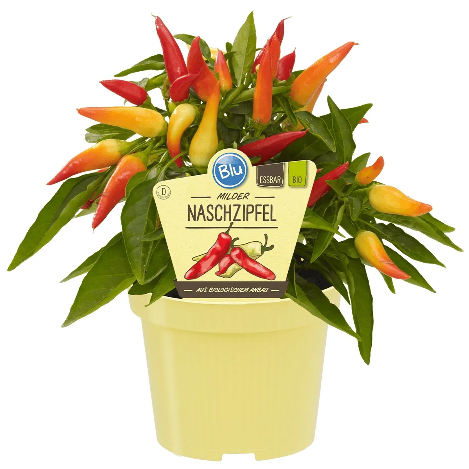 BLU Naschzipfel Topf-Ø ca. 12 cm Capsicum
