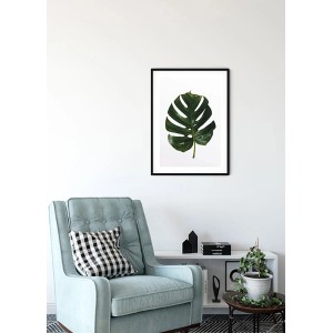 Wandbild: Monstera Blatt im schwarzen Rahmen, 30x40 cm. Dekorative Zimmerpflanze als Kunstdruck.