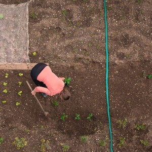 Frau gießt Garten mit Relaxdays Bewässerungsschlauch (5m, grün) neben Gemüsebeet.