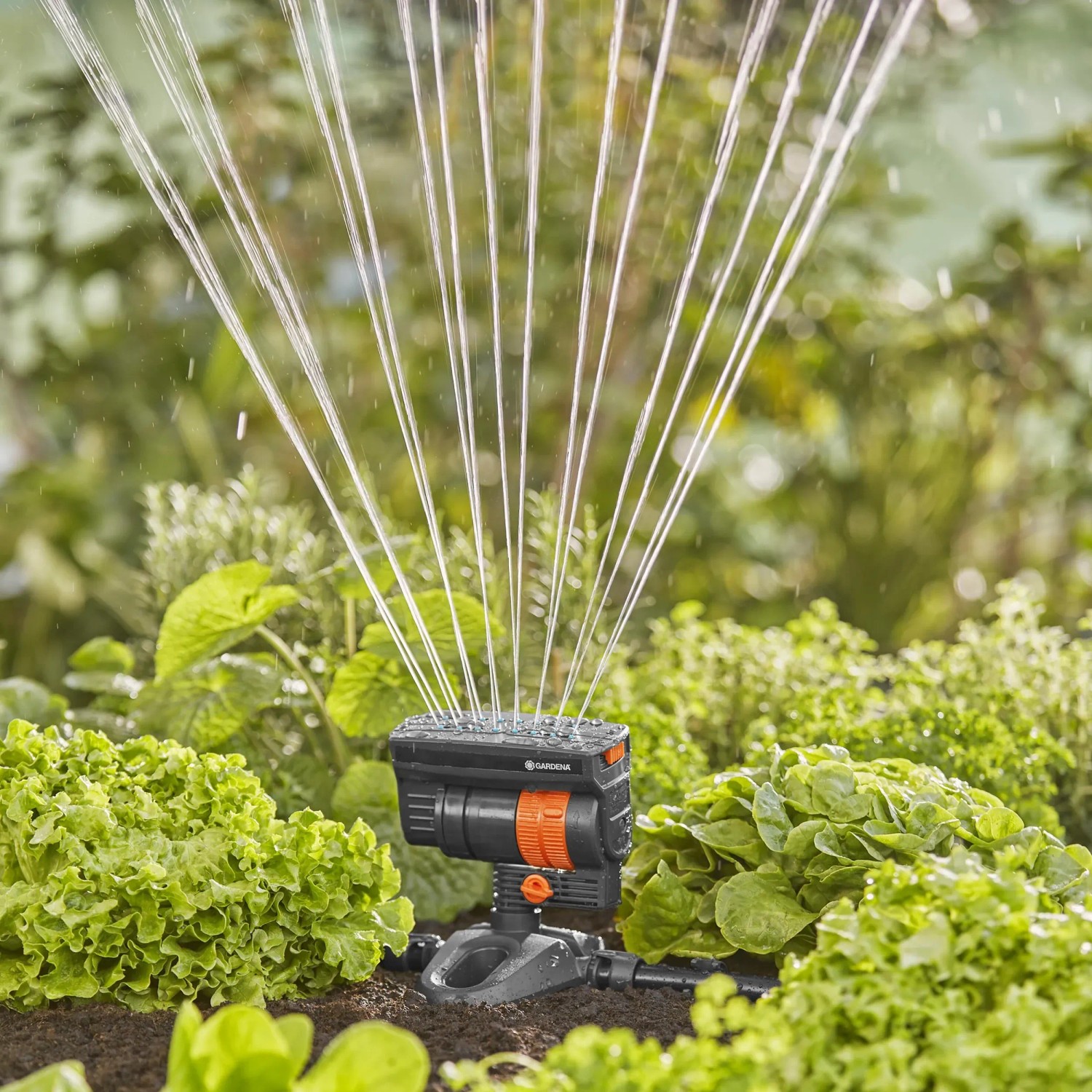 Gardena Viereckregner OS 90v im Einsatz: Flächendeckende Bewässerung im Garten mit Micro-Drip-System.