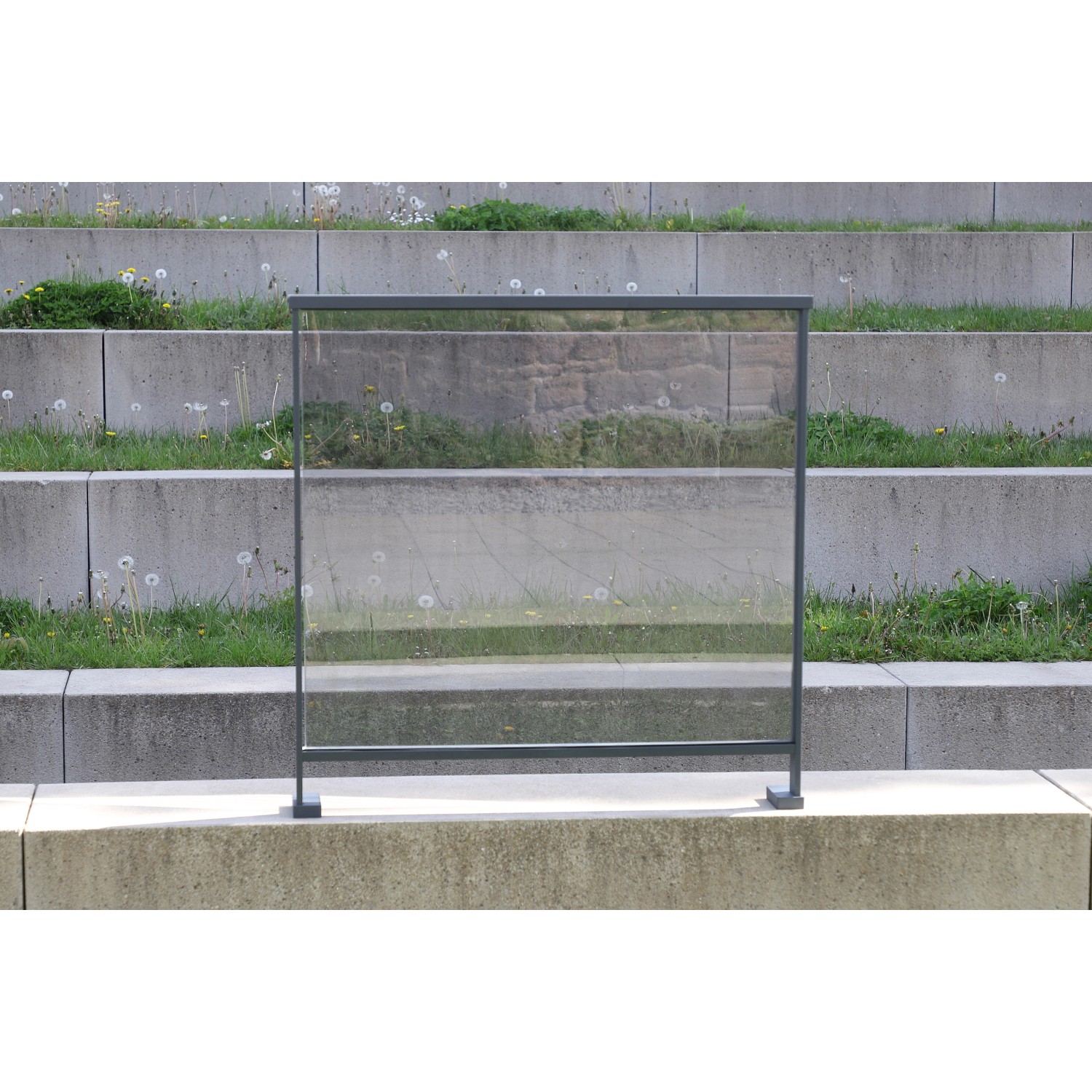 Dieda Linus Glasscheibe Füllung VSG 100 cm x 100 cm VSG 2 mm x 4 mm Klargla günstig online kaufen