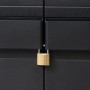Detailaufnahme: Schwarzer Gartenschrank mit Vorhängeschloss für Sicherheit.