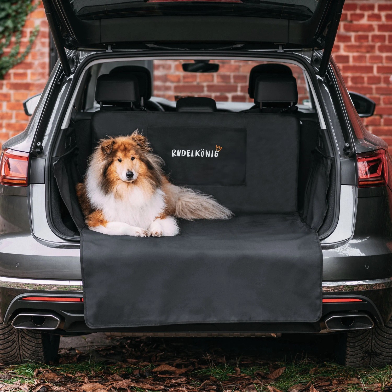 Rudelkönig Kofferraumschutz Hund Auto Schutzdecke Basic Wasserdicht in Schwarz
