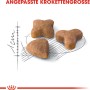 Royal Canin Sensible Katzenfutter: Drei Kroketten in angepasster Größe für sensible Katzen.