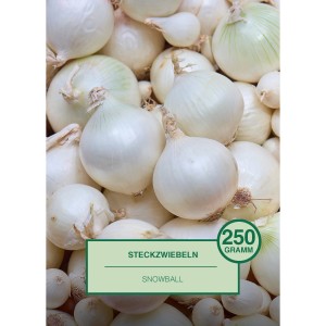 Steckzwiebeln 'Snowball', 250g, weiße Zwiebeln zum Pflanzen im Garten.
