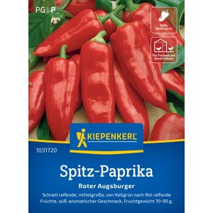 Kiepenkerl Paprika Roter Augsburger: Leuchtend rote, spitz zulaufende Paprika auf der Pflanze.