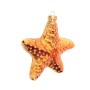 Goldfarbener Seestern als Baumschmuck von Krebs Glas Lauscha, 11cm groß.