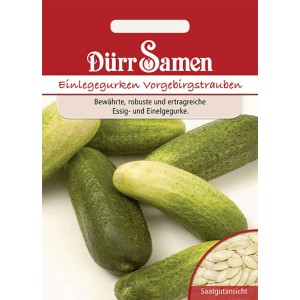Dürr Samen Einlegegurken Vorgebirgstrauben Saatgut Packung mit Gurken und Saatgutansicht.