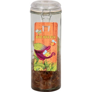 Schlauchpflanze im Glasgefäß (Ø 13cm) mit Deko-Etikett. Fleischfressende Pflanze im Glas.