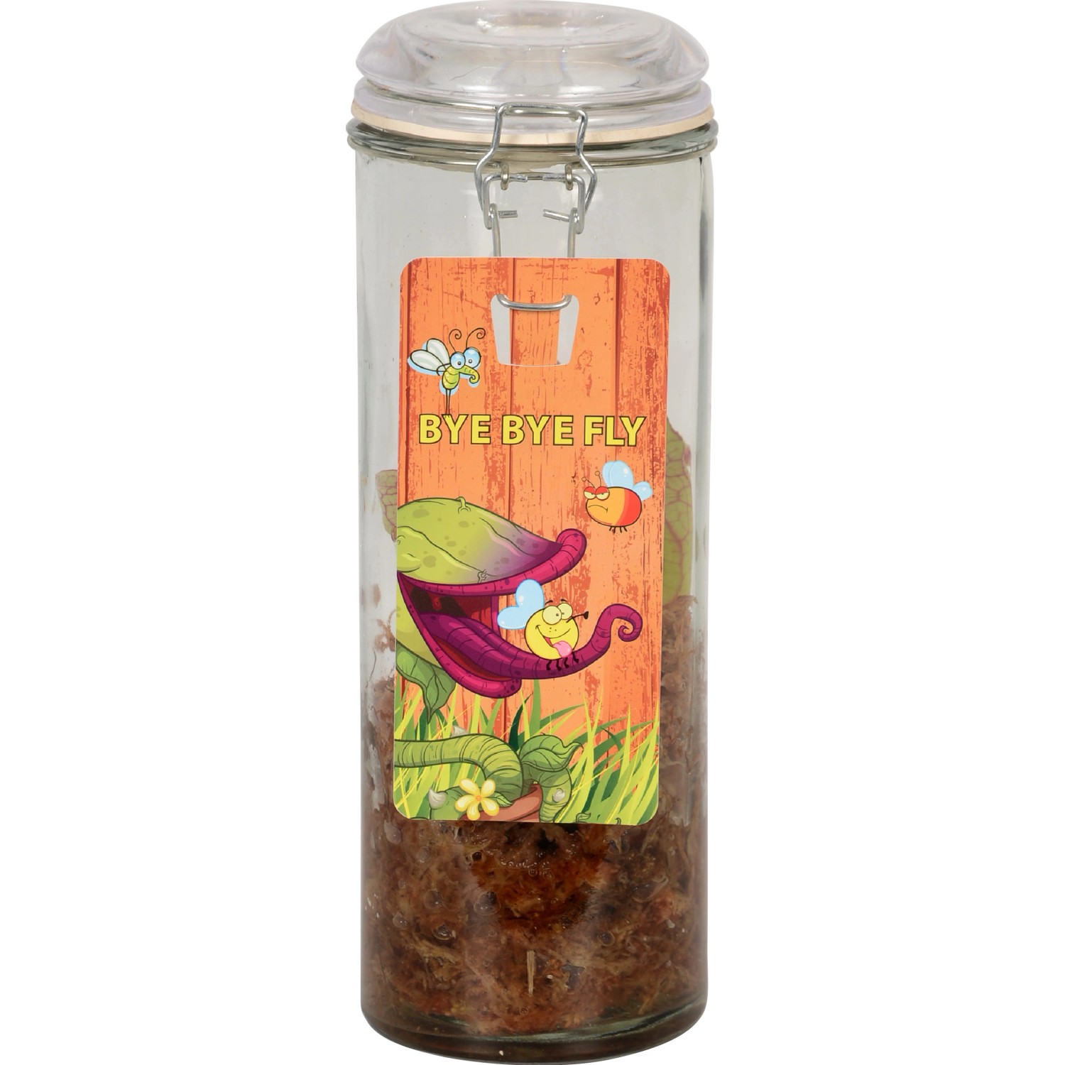 Schlauchpflanze im Glasgefäß (Ø 13cm) mit Deko-Etikett. Fleischfressende Pflanze im Glas.