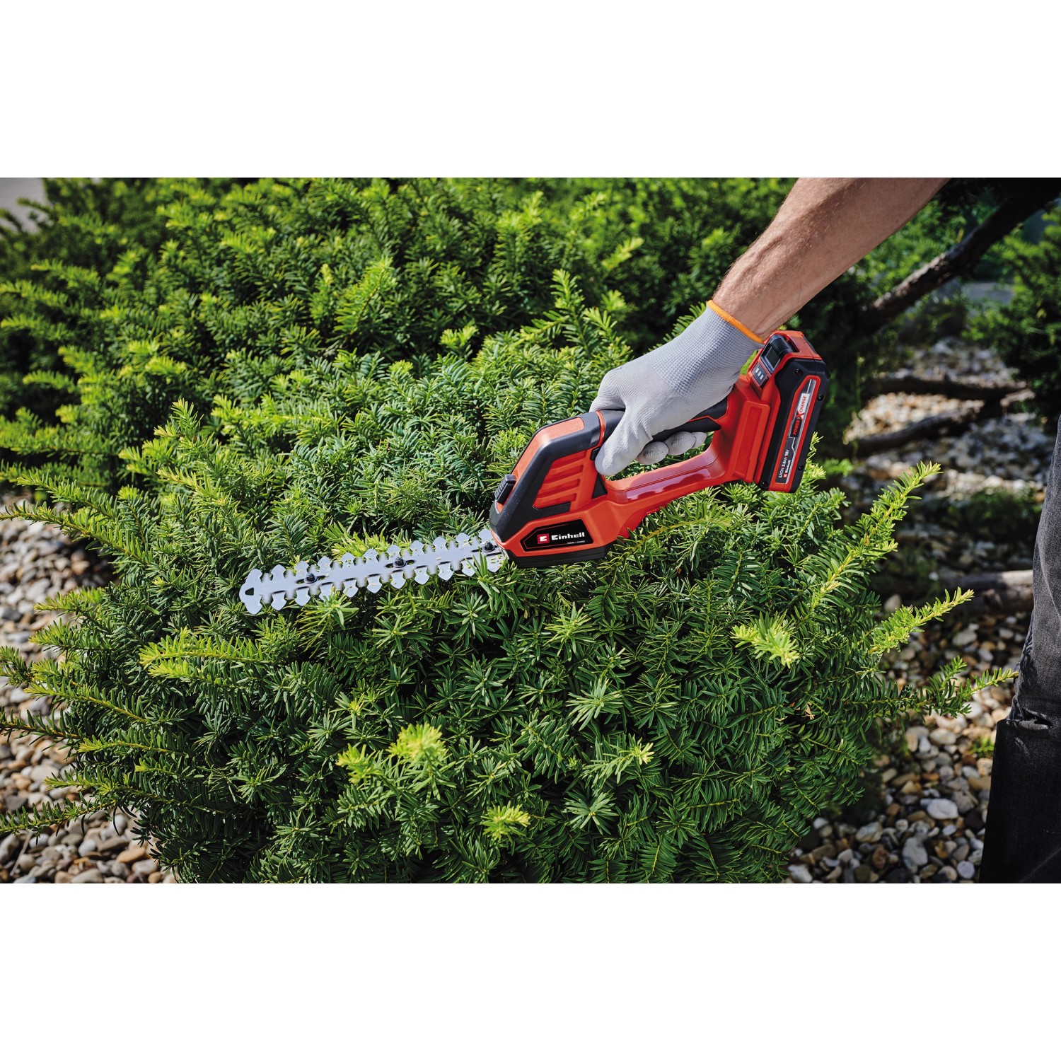 Einhell Akku-Gras- und Strauchschere GE-CG 18/100 Li-Solo beim Heckenschneiden.