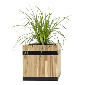 Pflanzwerk® Pflanzkübel Cube aus Akazienholz, 45x43x43 cm, mit grüner Pflanze.