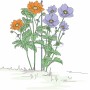 Bellissa Pflanzstab Premium 130 cm verzinkt mit blühenden Pflanzen im Garten.
