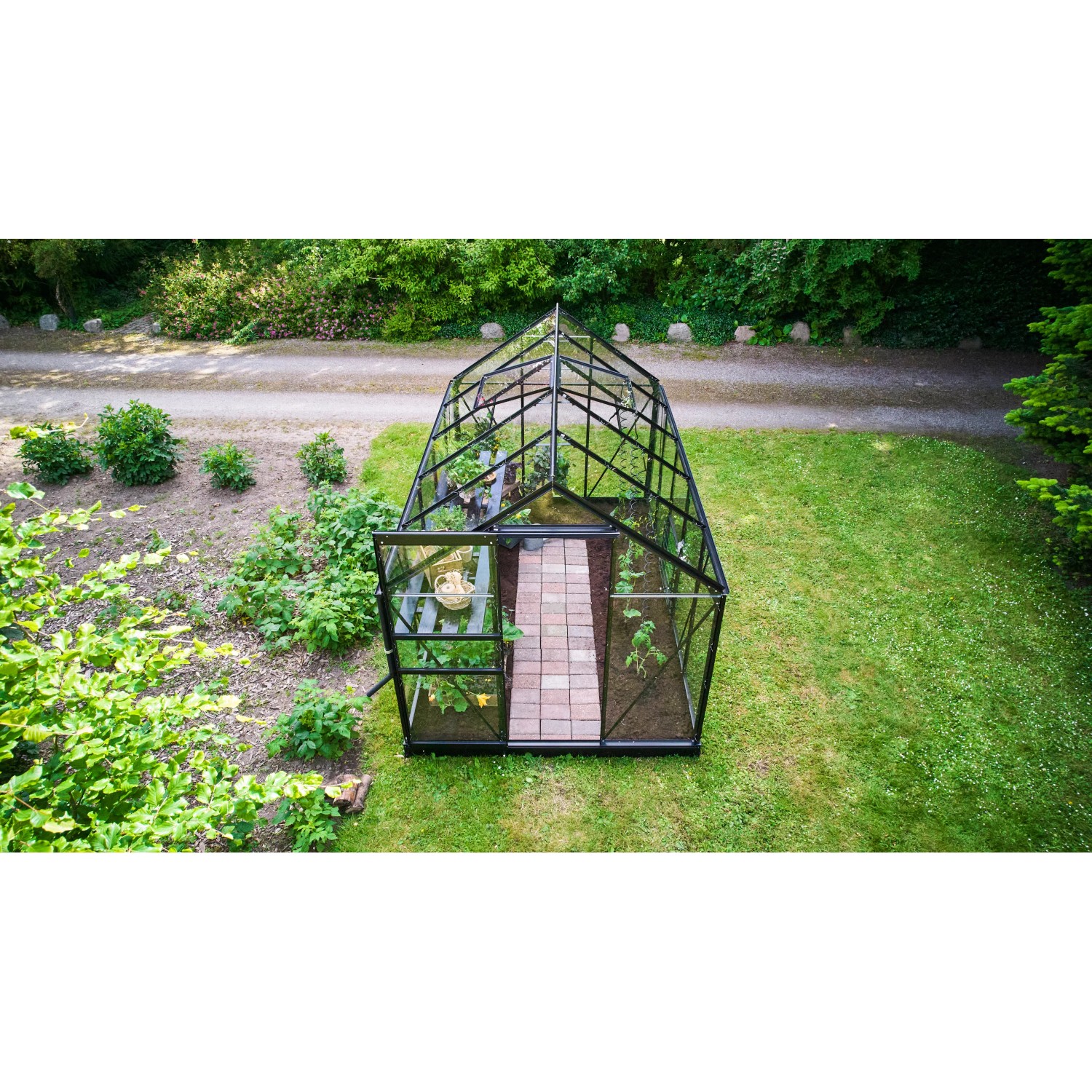 Schwarzes Halls Gewächshaus Popular 106 mit geöffneter Tür im Garten. 6,2 m² Fläche.