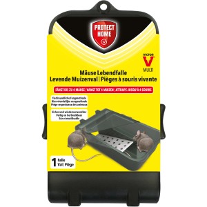 Protect Home Mäuse Lebendfalle Multi für bis zu 4 Mäuse, tierfreundlich und wiederverwendbar.