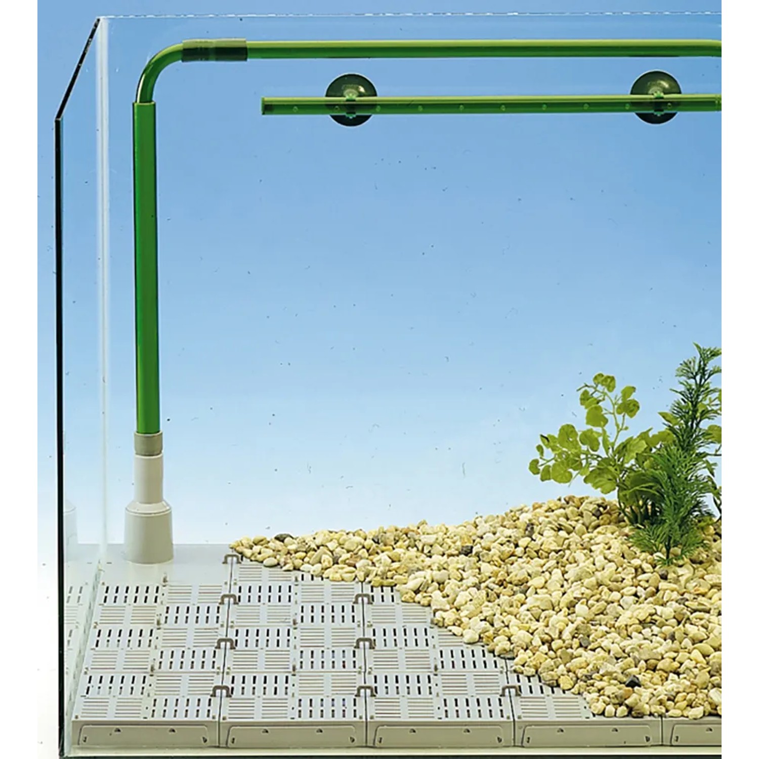 Eheim Bodendurchfluter im Aquarium: Ansaugprinzip für Meerwasser & Süßwasser, mit Kies und Pflanzen.