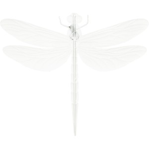 Weiße Metall Libelle Wanddeko, 28,5 cm, für Garten & Haus.