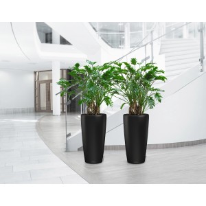 Zwei Lechuza Rondo Premium Pflanzgefäße, schwarz matt, mit Pflanzen in modernem Ambiente.