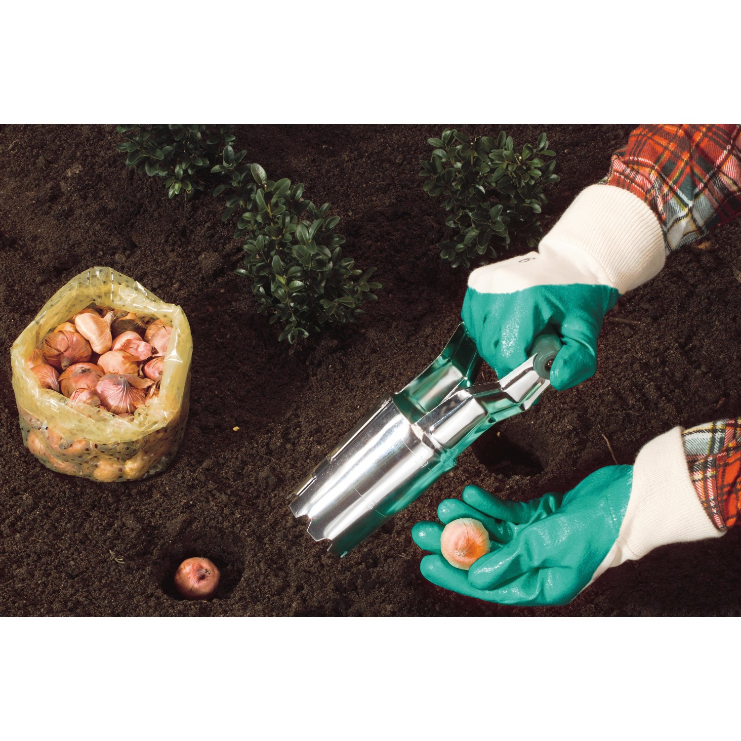 Gartenarbeit mit LUX Nitrilhandschuhen Größe S: Blumenzwiebeln setzen mit Pflanzwerkzeug.