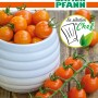 SAMEN PFANN Tomate Honeycomb F1