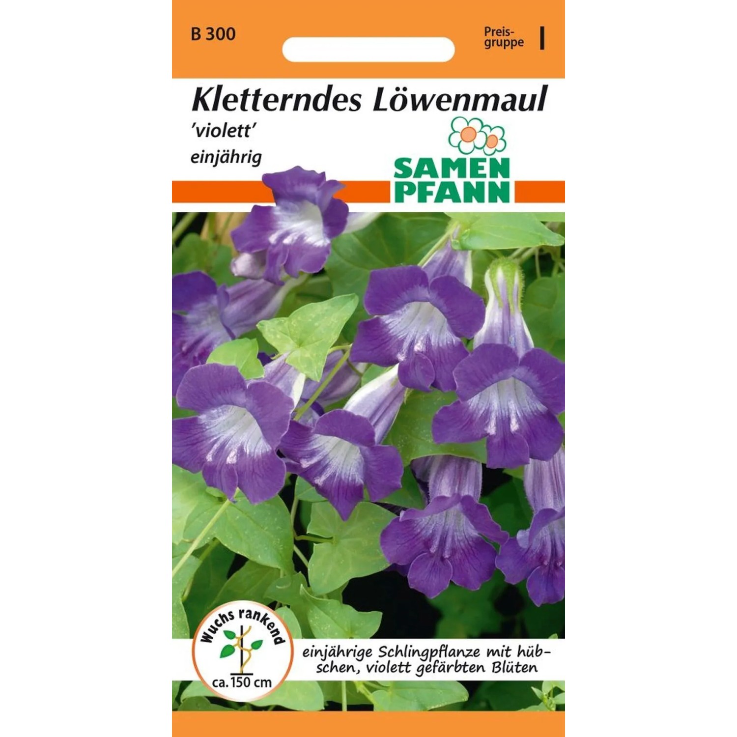 SAMEN PFANN Kletterndes Löwenmäulchen