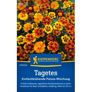 Kiepenkerl Tagetes Patula Mischung, Studentenblumen in Gelb, Rot und Orange für Beet und Balkon.