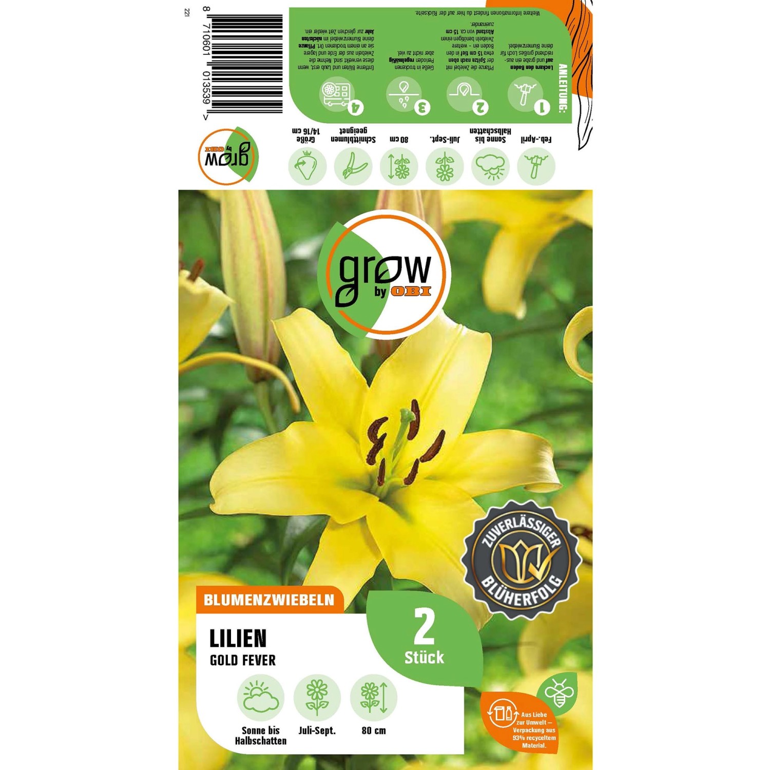 GROW by OBI Lilie "Oriental Gold Fever" Höhe ca. 80 cm Lilium oriental