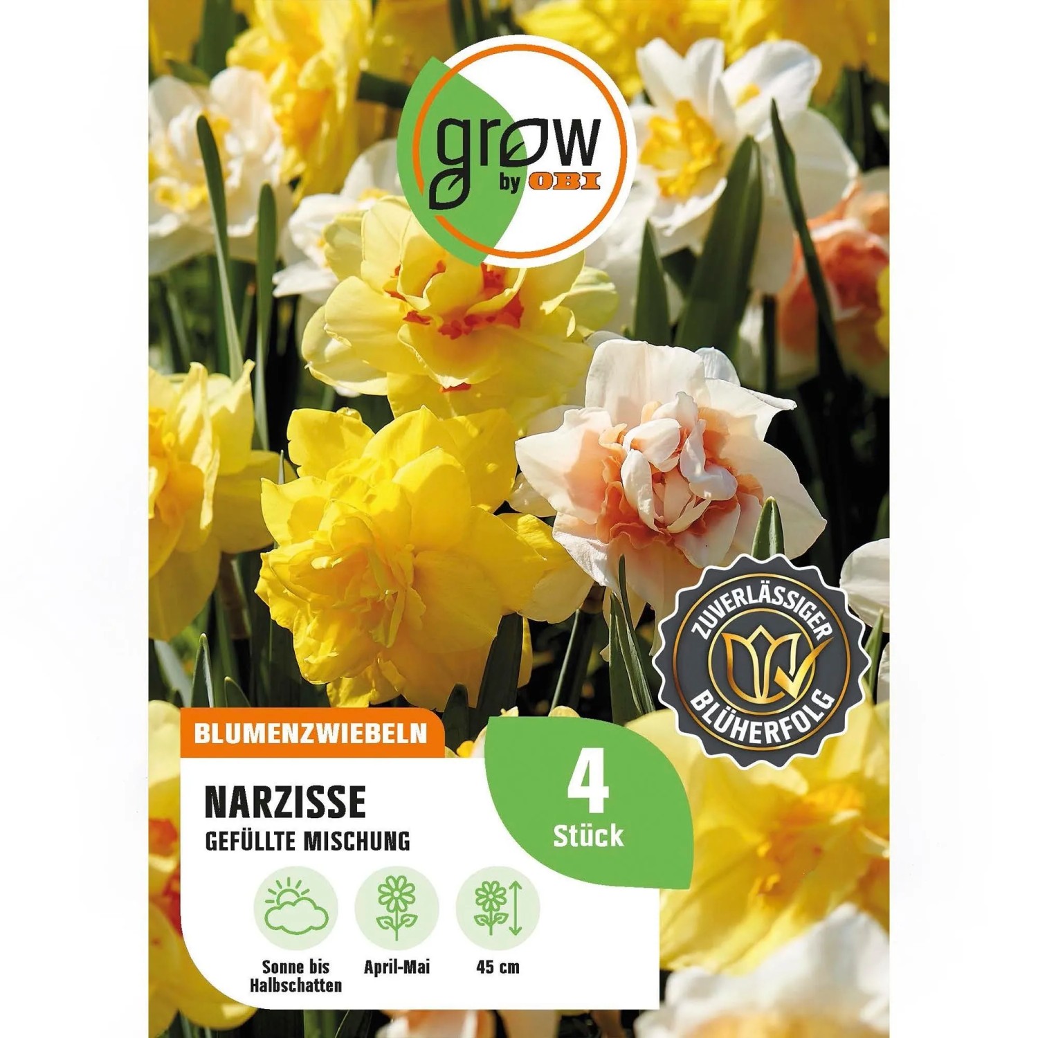 GROW by OBI Narzissen Gefüllte Mischung 4 Stück Narcissus double Mixed