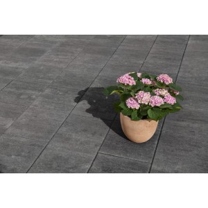 Dunkelgraue Diephaus Terrassenplatten Corso Quarzit 60x30 cm mit gefasten Kanten, verlegt im Außenbereich, mit rosa Hortensie.